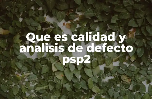 Que es Calidad y Analisis de Defecto Psp2