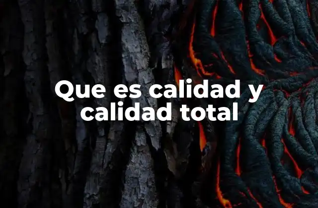 Que es Calidad y Calidad Total 2 La importancia de la gestión de la excelencia en los procesos empresariales