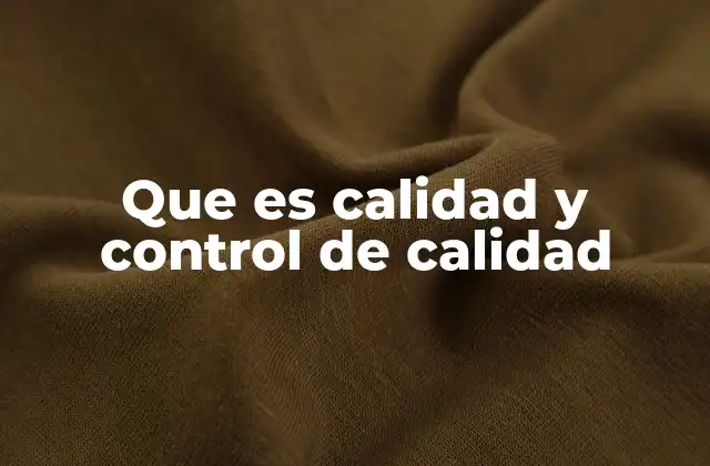 Que es Calidad y Control de Calidad