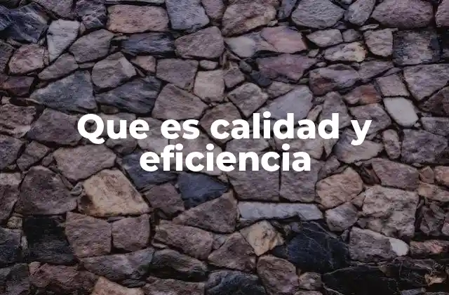 Que es Calidad y Eficiencia