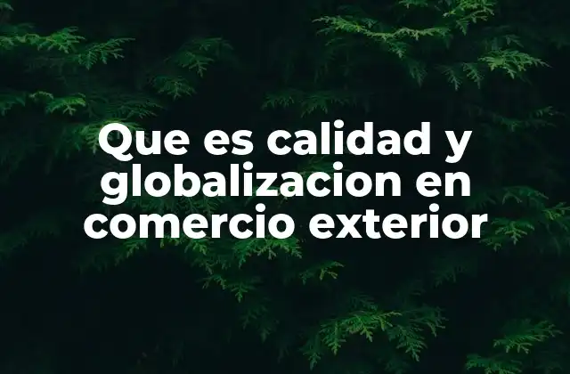 Que es Calidad y Globalizacion en Comercio Exterior