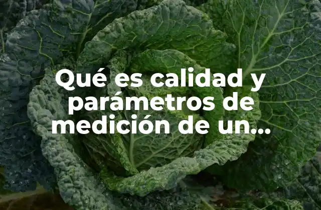 Qué es Calidad y Parámetros de Medición de un Producto