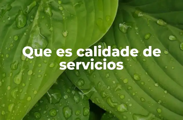 Que es Calidade de Servicios