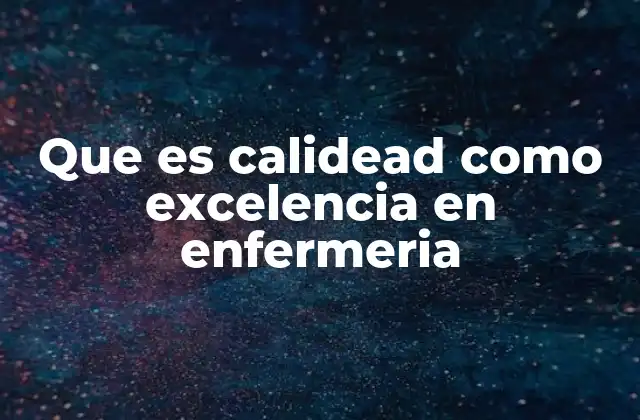 Que es Calidead como Excelencia en Enfermeria