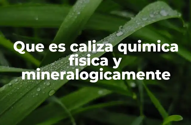Que es Caliza Quimica Fisica y Mineralogicamente