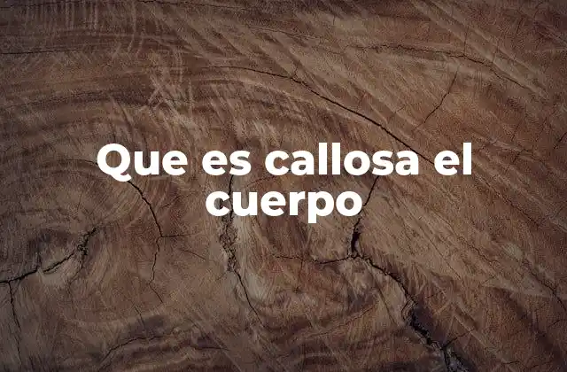 Que es Callosa el Cuerpo 2 La importancia del cuerpo calloso en la coordinación cerebral