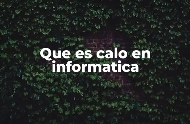 ¿Cómo se confunde el término calo con conceptos informáticos reales?