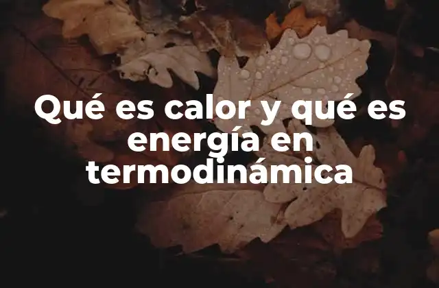 Qué es Calor y Qué es Energía en Termodinámica