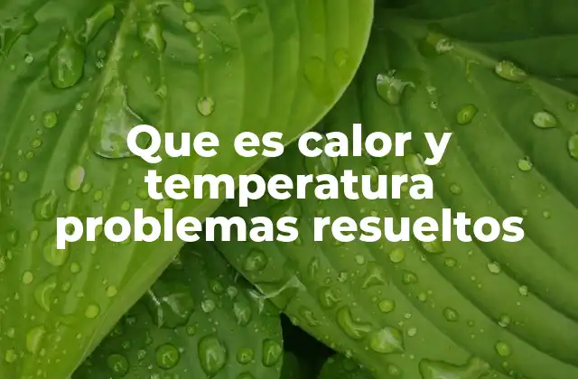 Que es Calor y Temperatura Problemas Resueltos