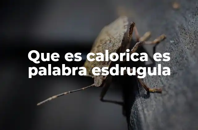 Que es Calorica es Palabra Esdrugula