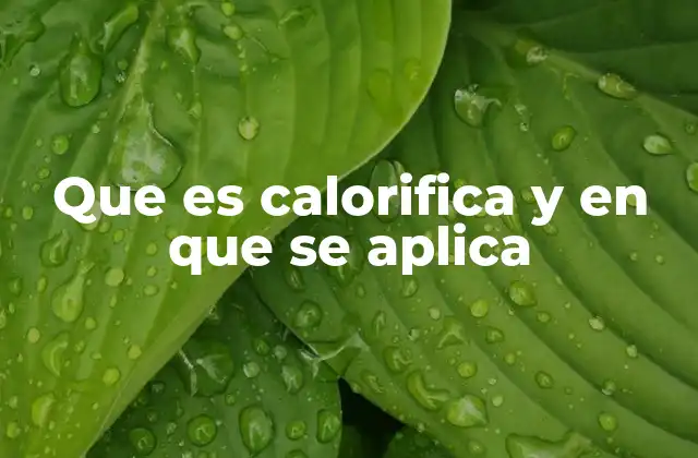 Que es Calorifica y en que Se Aplica
