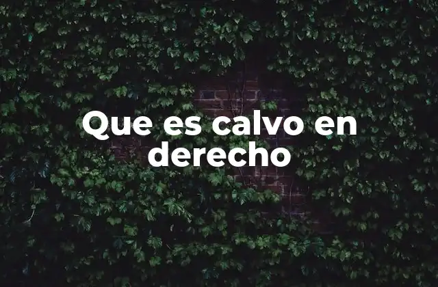 La carencia de derechos en el sistema legal