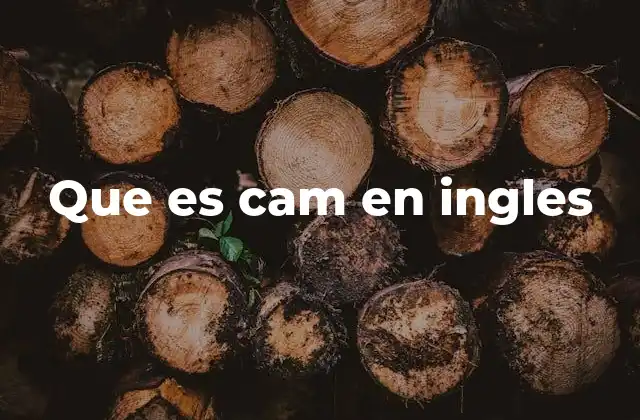 Que es Cam en Ingles