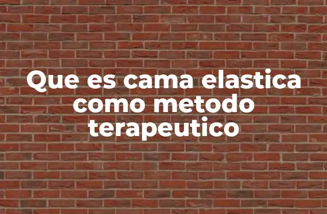 Que es Cama Elastica como Metodo Terapeutico