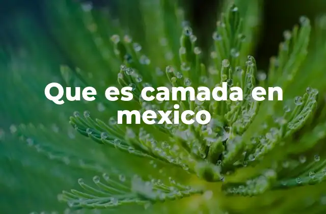 Que es Camada en Mexico 2 El uso de camada en contextos culturales y artísticos
