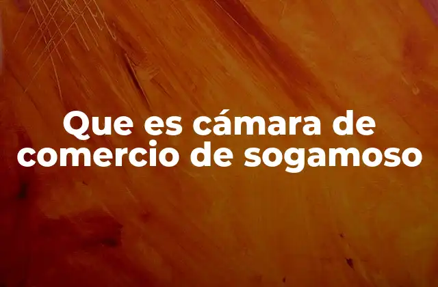 Que es Cámara de Comercio de Sogamoso