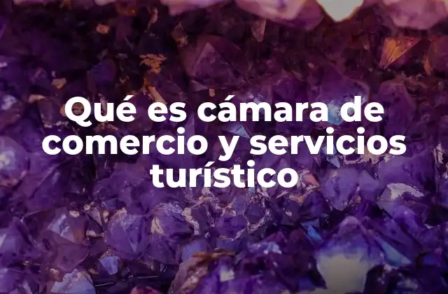 Qué es Cámara de Comercio y Servicios Turístico