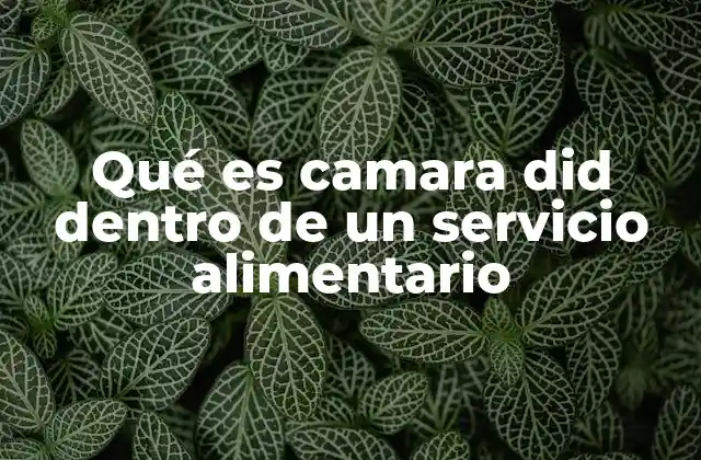 Qué es Camara Did Dentro de un Servicio Alimentario 2 El papel de la higiene en los procesos alimentarios