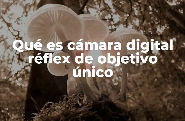 Qué es Cámara Digital Réflex de Objetivo Único