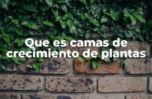Que es Camas de Crecimiento de Plantas