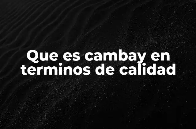 Que es Cambay en Terminos de Calidad