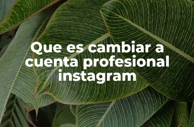 Que es Cambiar a Cuenta Profesional Instagram