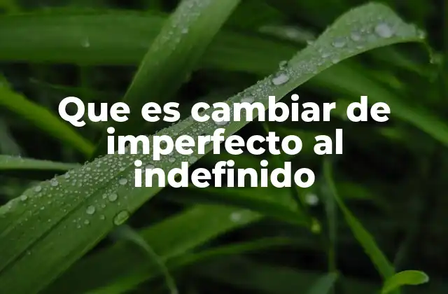 Que es Cambiar de Imperfecto Al Indefinido