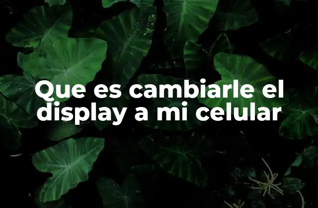 Que es Cambiarle el Display a Mi Celular
