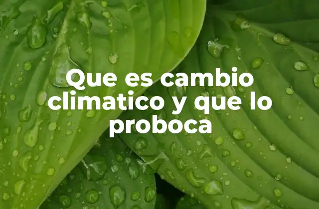 Que es Cambio Climatico y que Lo Proboca