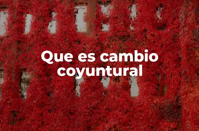 Que es Cambio Coyuntural