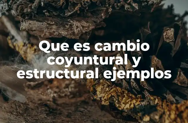 Que es Cambio Coyuntural y Estructural Ejemplos
