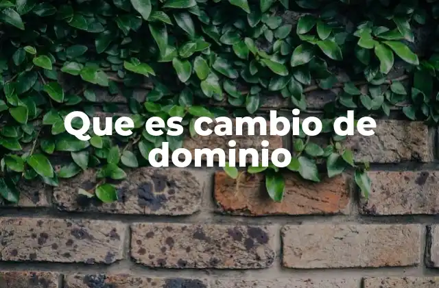 Que es Cambio de Dominio