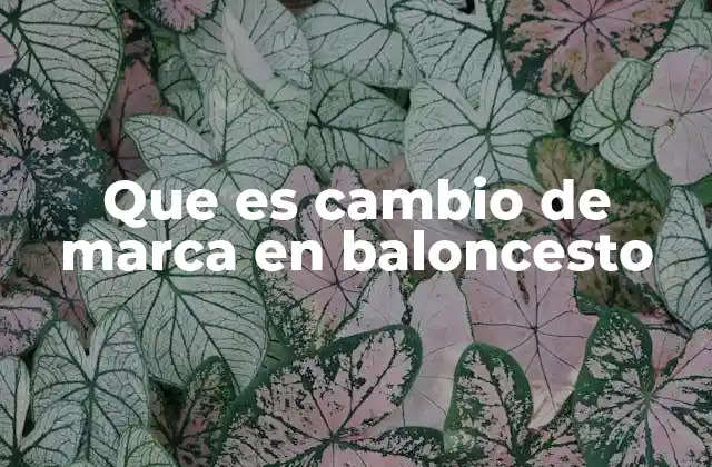 La importancia del cambio de marca en la defensa colectiva