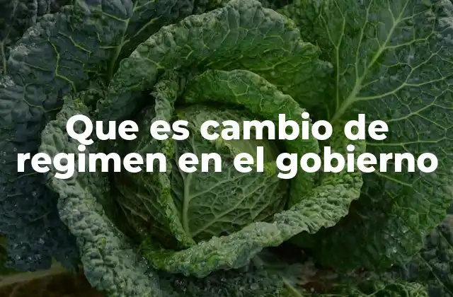 Que es Cambio de Regimen en el Gobierno