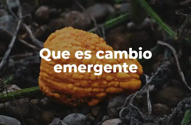 Que es Cambio Emergente