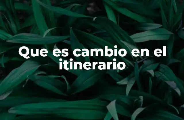 Que es Cambio en el Itinerario