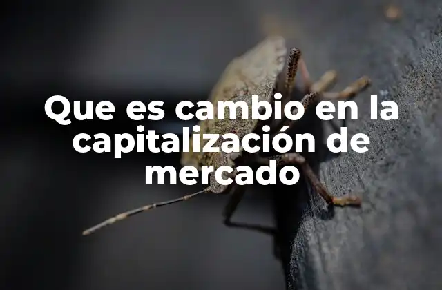 Que es Cambio en la Capitalización de Mercado