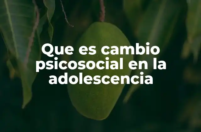 Que es Cambio Psicosocial en la Adolescencia 2 La importancia del desarrollo durante la adolescencia