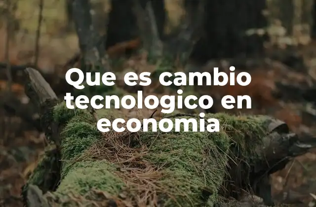 Que es Cambio Tecnologico en Economia
