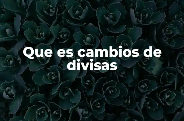 Que es Cambios de Divisas