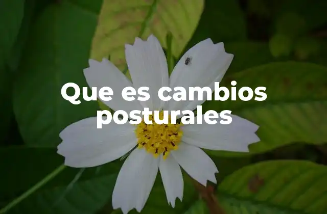 Que es Cambios Posturales