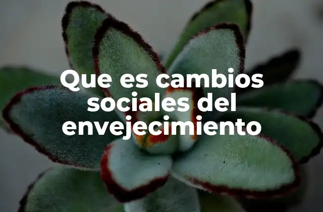 Que es Cambios Sociales Del Envejecimiento 2 El impacto del envejecimiento en la estructura familiar