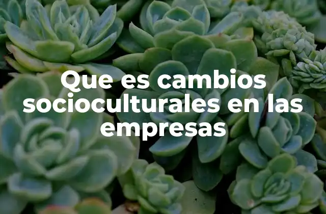 Que es Cambios Socioculturales en las Empresas 2 La evolución de la cultura organizacional en tiempos modernos