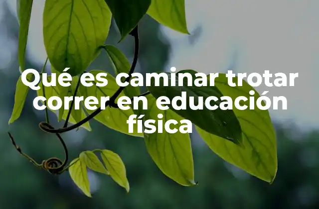 Qué es Caminar Trotar Correr en Educación Física