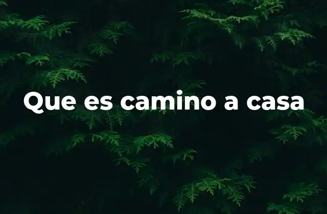 Que es Camino a Casa