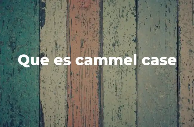 Que es Cammel Case 2 CamelCase y su importancia en la programación