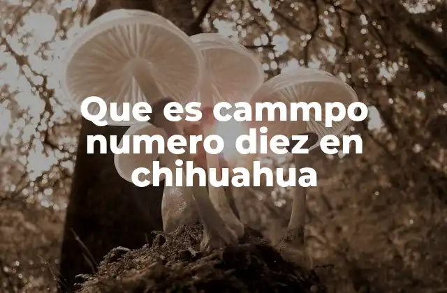 Que es Cammpo Numero Diez en Chihuahua