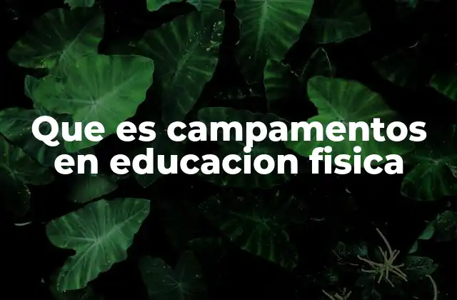 Que es Campamentos en Educacion Fisica