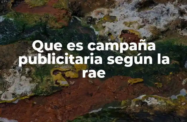 Que es Campaña Publicitaria según la Rae