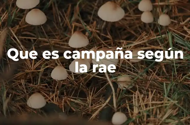 Que es Campaña según la Rae